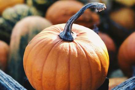 pumpkin
