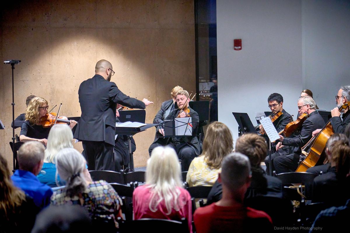audience watching the philharmonic